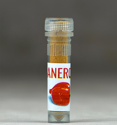 Dárek Habanero koření 2ml